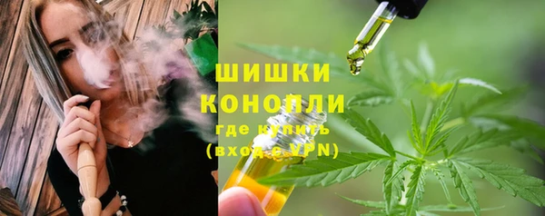 гидра Аша