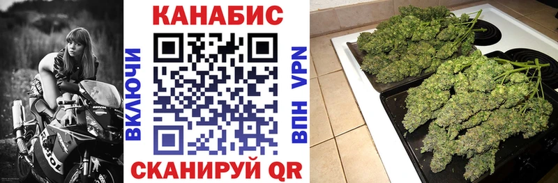 Каннабис Amnesia  kraken как зайти  Белоозёрский  где купить наркоту 